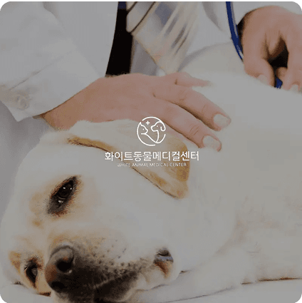 병의원 마케팅 포트폴리오 8