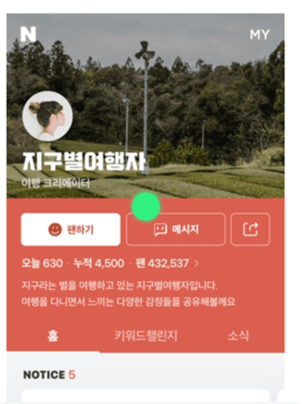 naver-influencer